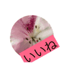 お花と挨拶（個別スタンプ：9）