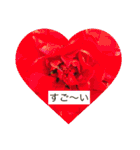 お花と挨拶（個別スタンプ：10）