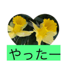 お花と挨拶（個別スタンプ：11）