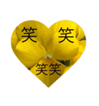 お花と挨拶（個別スタンプ：12）