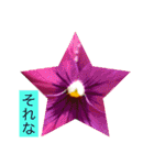 お花と挨拶（個別スタンプ：13）