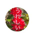 お花と挨拶（個別スタンプ：15）