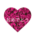 お花と挨拶（個別スタンプ：16）