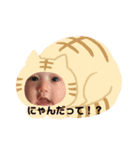 あやとっちスタンプ2（個別スタンプ：1）