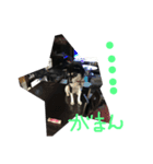 柴犬マロ（個別スタンプ：16）
