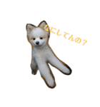 天才ポメラニアンのポメ吉（個別スタンプ：31）