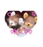 みみぷ（個別スタンプ：1）