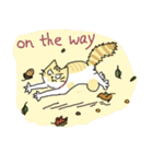 みけねこ - ミルの日常生活（個別スタンプ：16）