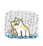 みけねこ - ミルの日常生活（個別スタンプ：23）