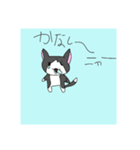 中村 さん №2（個別スタンプ：1）