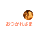 うさぎといんこ（個別スタンプ：4）