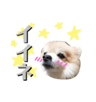 クランベリーたろう 1（個別スタンプ：5）