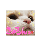雪の王子（個別スタンプ：1）