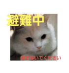 雪の王子（個別スタンプ：4）