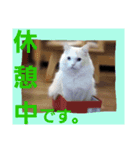 雪の王子（個別スタンプ：5）