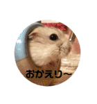 ジャンガリアンハムスターの姫ちゃん（個別スタンプ：14）