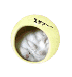 ジャンガリアンハムスターの姫ちゃん（個別スタンプ：33）