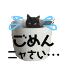 ＊黒猫stamp＊（個別スタンプ：1）