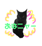 ＊黒猫stamp＊（個別スタンプ：2）