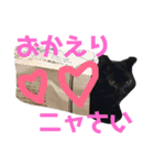 ＊黒猫stamp＊（個別スタンプ：4）