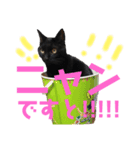 ＊黒猫stamp＊（個別スタンプ：6）