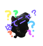 ＊黒猫stamp＊（個別スタンプ：9）
