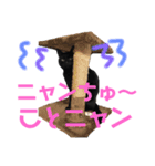 ＊黒猫stamp＊（個別スタンプ：11）