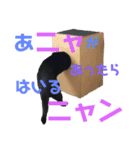 ＊黒猫stamp＊（個別スタンプ：15）