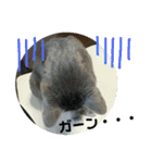 心の友ネコ「にゃかの先生」（個別スタンプ：7）