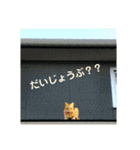 心の友ネコ「にゃかの先生」（個別スタンプ：12）