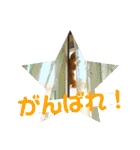 心の友ネコ「にゃかの先生」（個別スタンプ：21）