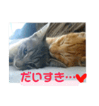 心の友ネコ「にゃかの先生」（個別スタンプ：22）