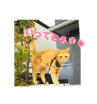 心の友ネコ「にゃかの先生」（個別スタンプ：25）