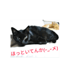 心の友ネコ「にゃかの先生」（個別スタンプ：30）