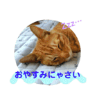 心の友ネコ「にゃかの先生」（個別スタンプ：32）