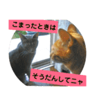 心の友ネコ「にゃかの先生」（個別スタンプ：36）