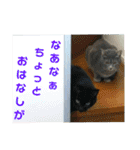 心の友ネコ「にゃかの先生」（個別スタンプ：38）
