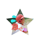 ND 5人仲間（個別スタンプ：3）