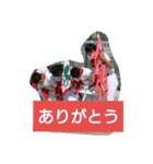 ND 5人仲間（個別スタンプ：11）