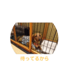 ショコラの言葉（個別スタンプ：10）