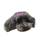 可愛い雑種猫と可愛いゴリラ犬（個別スタンプ：9）