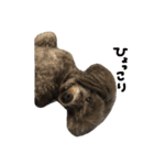 可愛い雑種猫と可愛いゴリラ犬（個別スタンプ：18）
