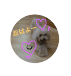 ラッキー12（個別スタンプ：5）