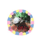 おちゃめな動物スタンプ（個別スタンプ：4）