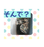 おちゃめな動物スタンプ（個別スタンプ：8）