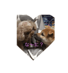 畑作（個別スタンプ：1）