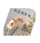 畑作（個別スタンプ：8）