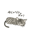 やる気少な目のねこ（個別スタンプ：5）