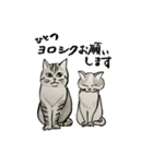 やる気少な目のねこ（個別スタンプ：13）