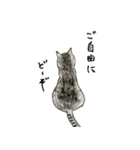 やる気少な目のねこ（個別スタンプ：14）